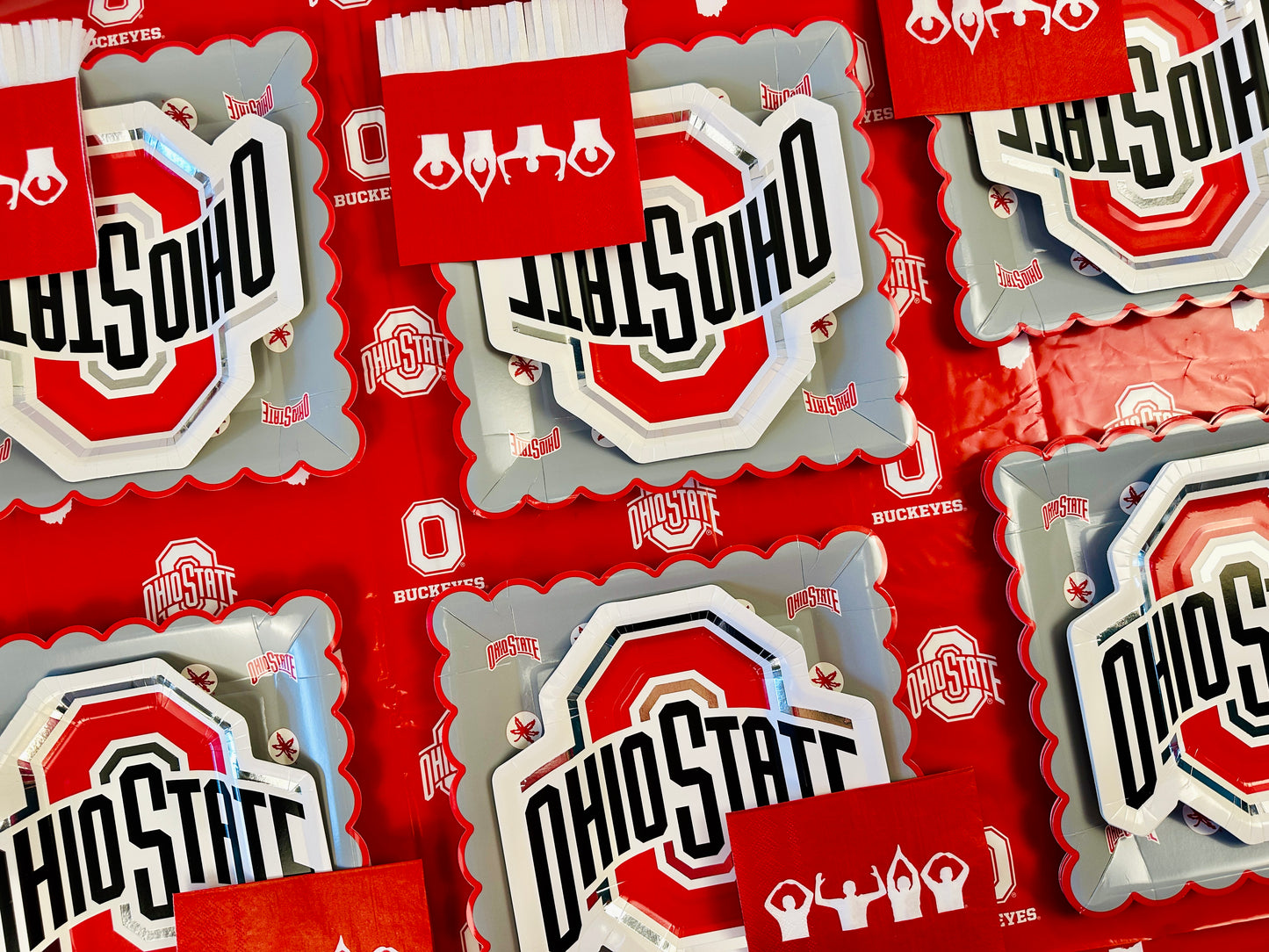 Ohio State Buckeyes Tableware Set with 24 Plates, 12 Napkins and 1 Tablecloth (Serves 12)