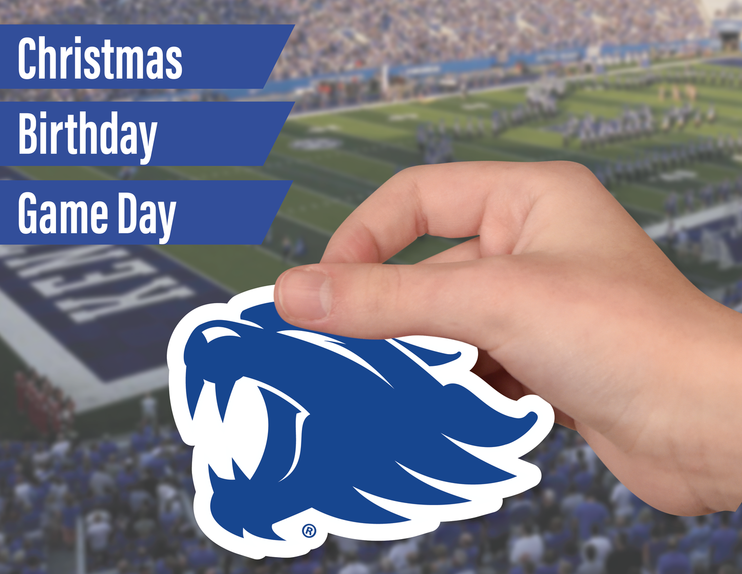 Kentucky Wildcats Sticker Set (14 Pieces)