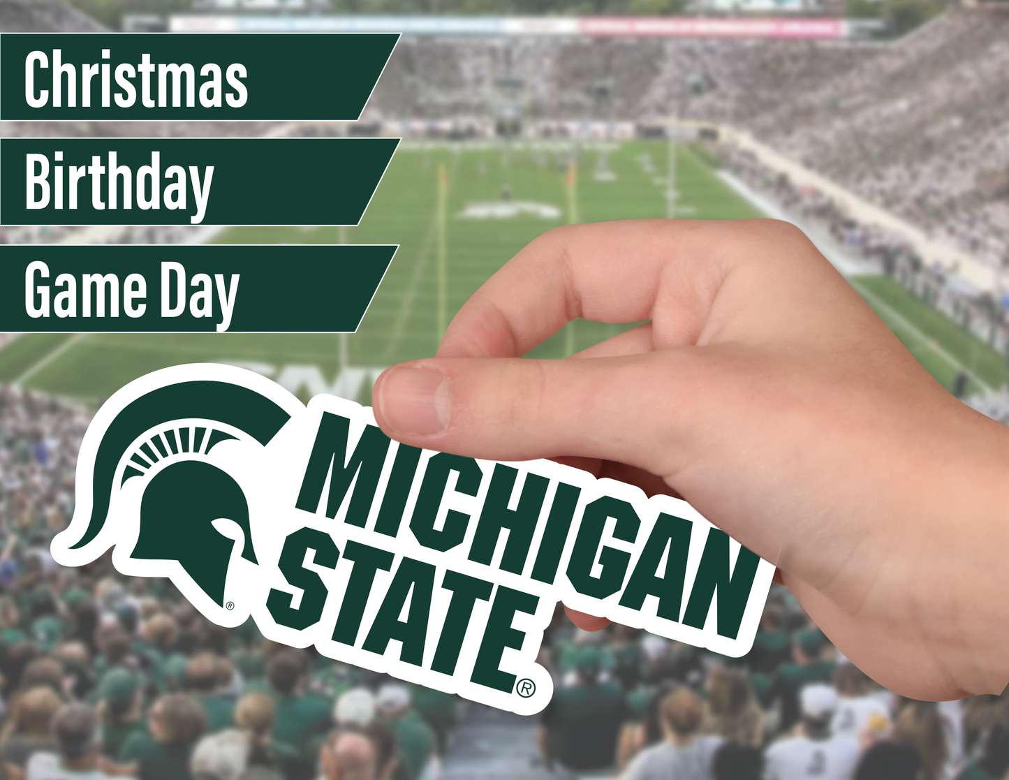 Michigan State Spartans Sticker Set (14 Pieces)
