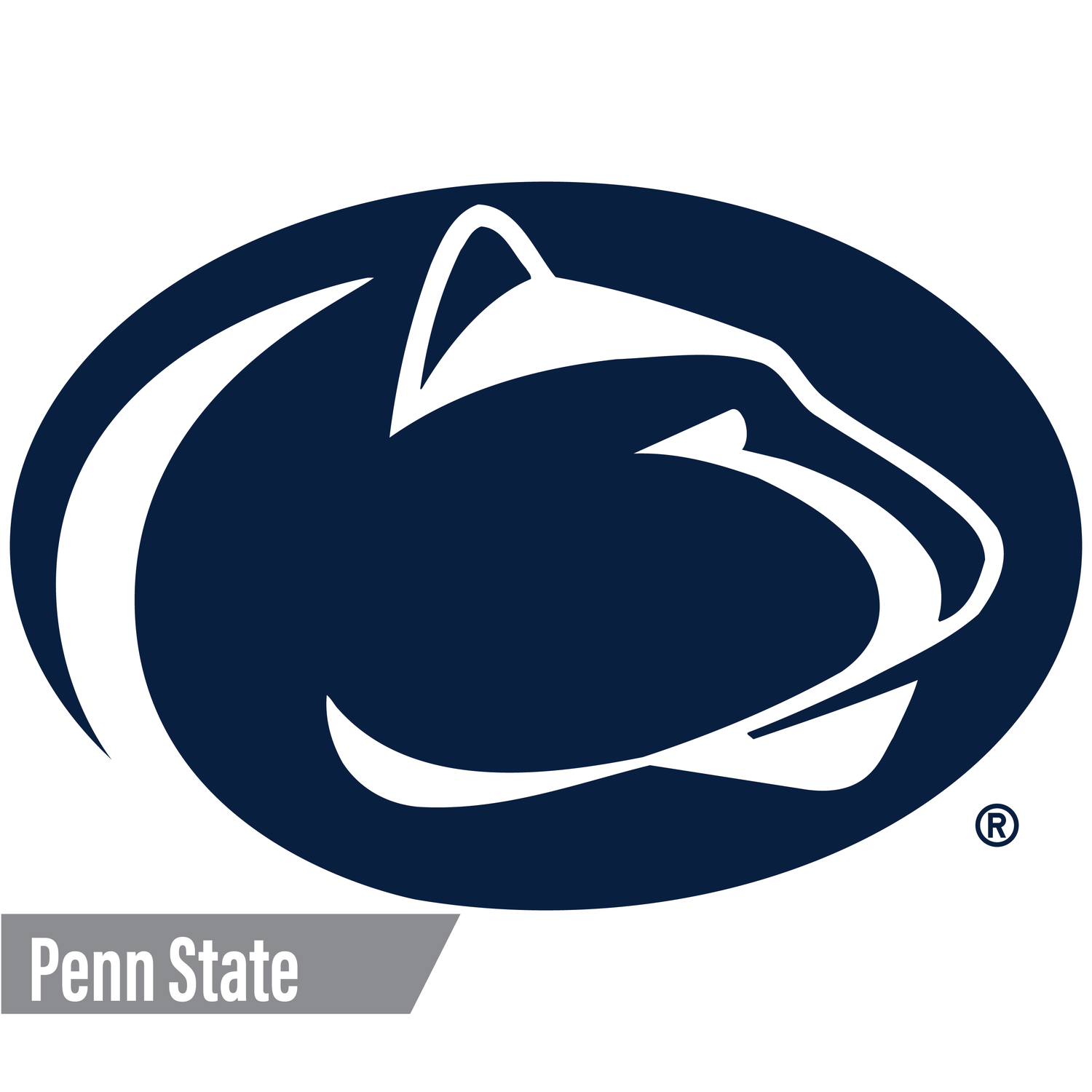Penn State Nittany Lions