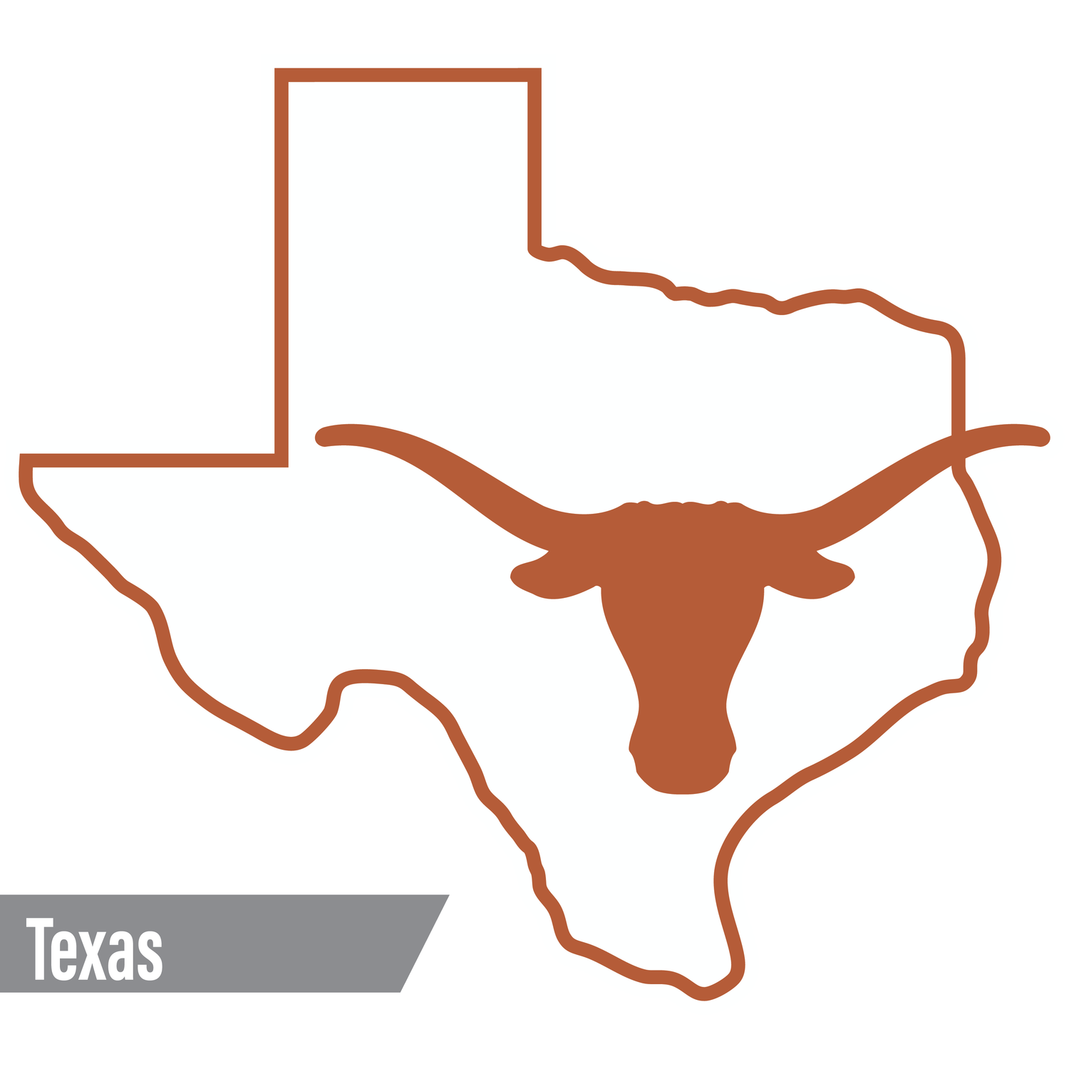 Texas Longhorns