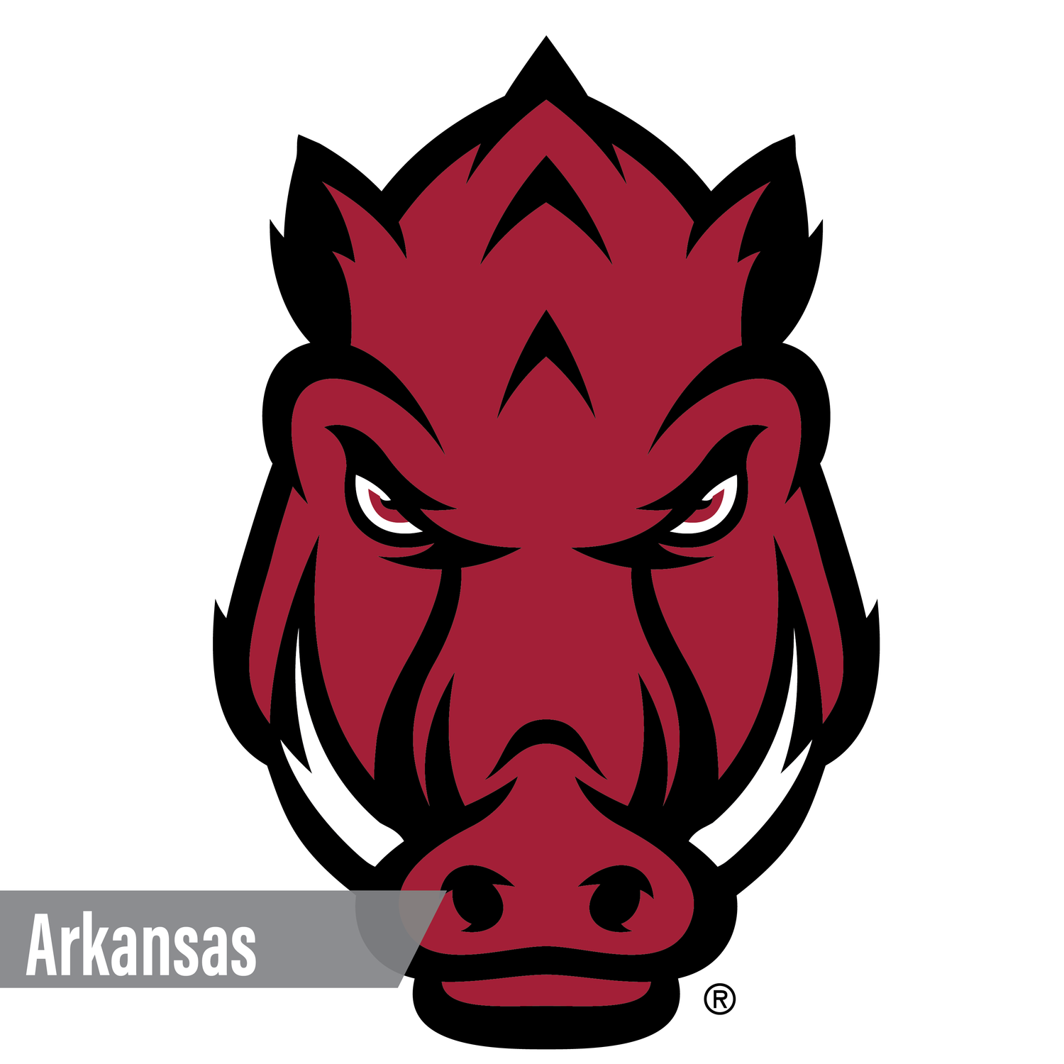 Arkansas Razorbacks