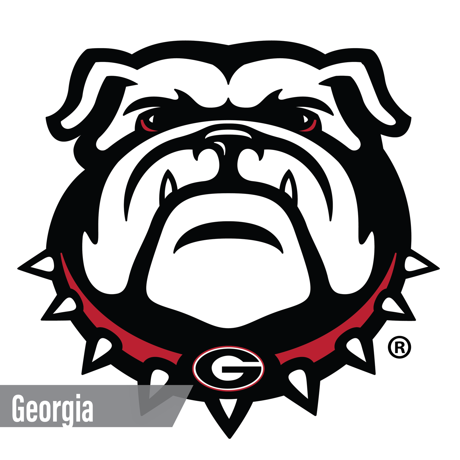 Georgia Bulldogs