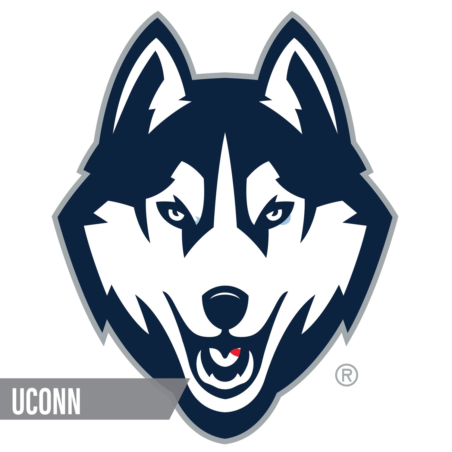 UConn Huskies