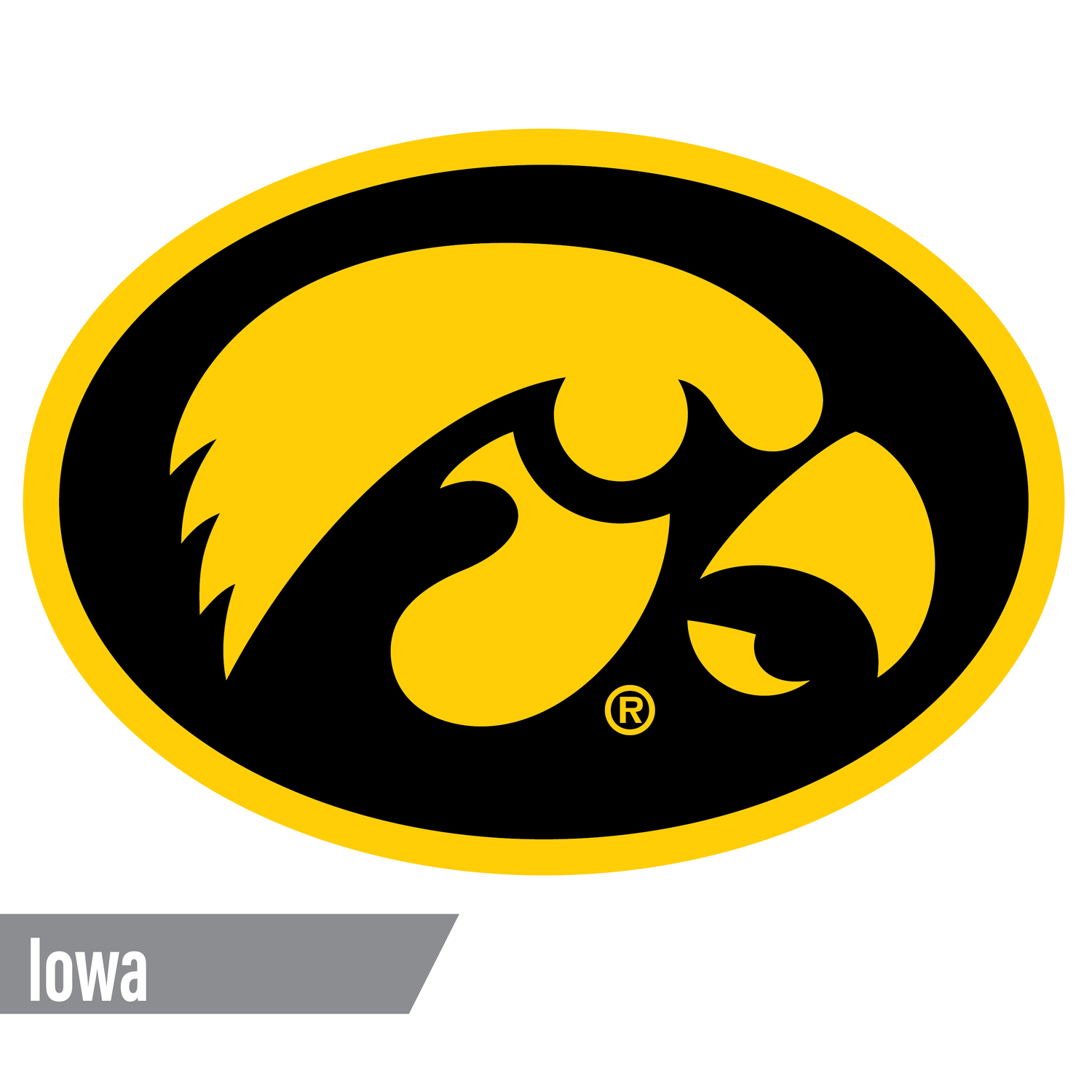Iowa Hawkeyes