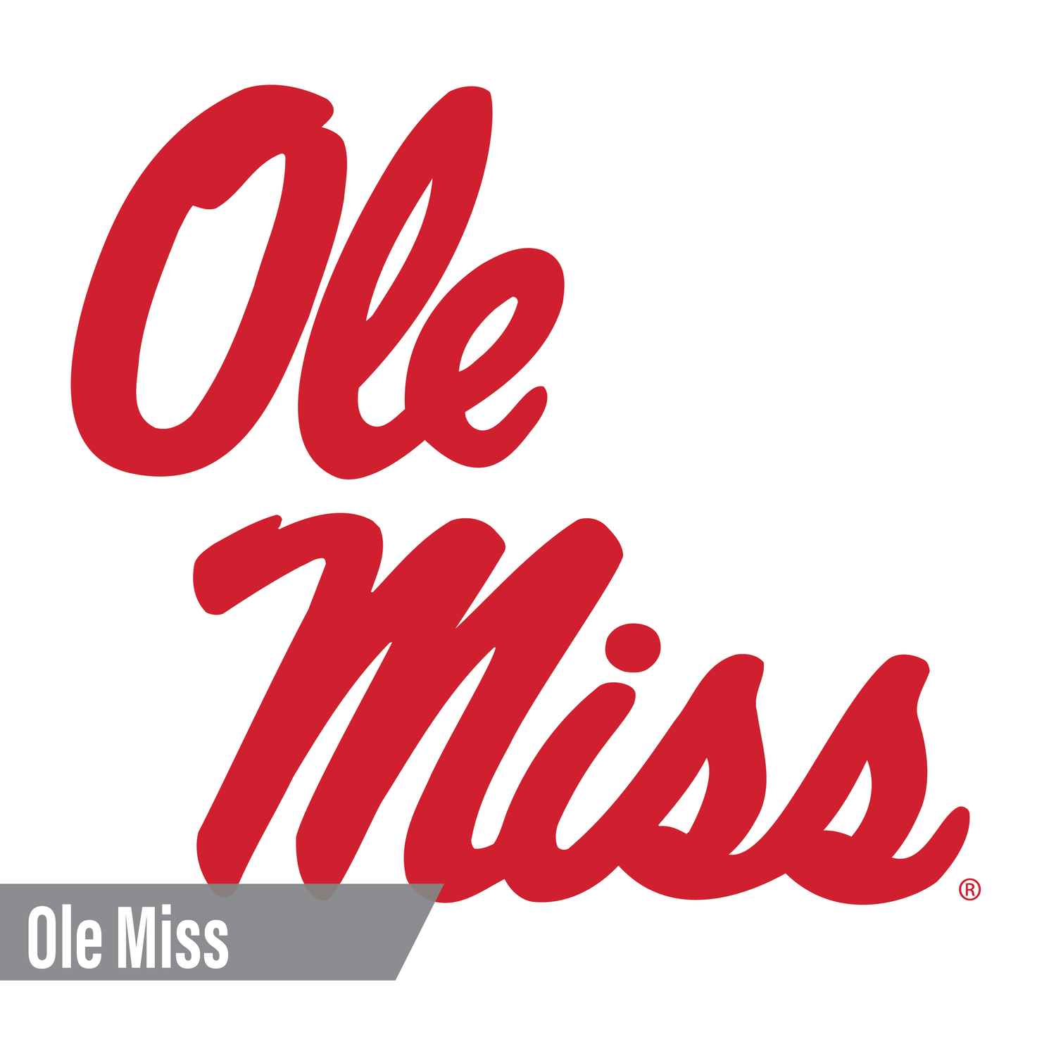 Ole Miss Rebels