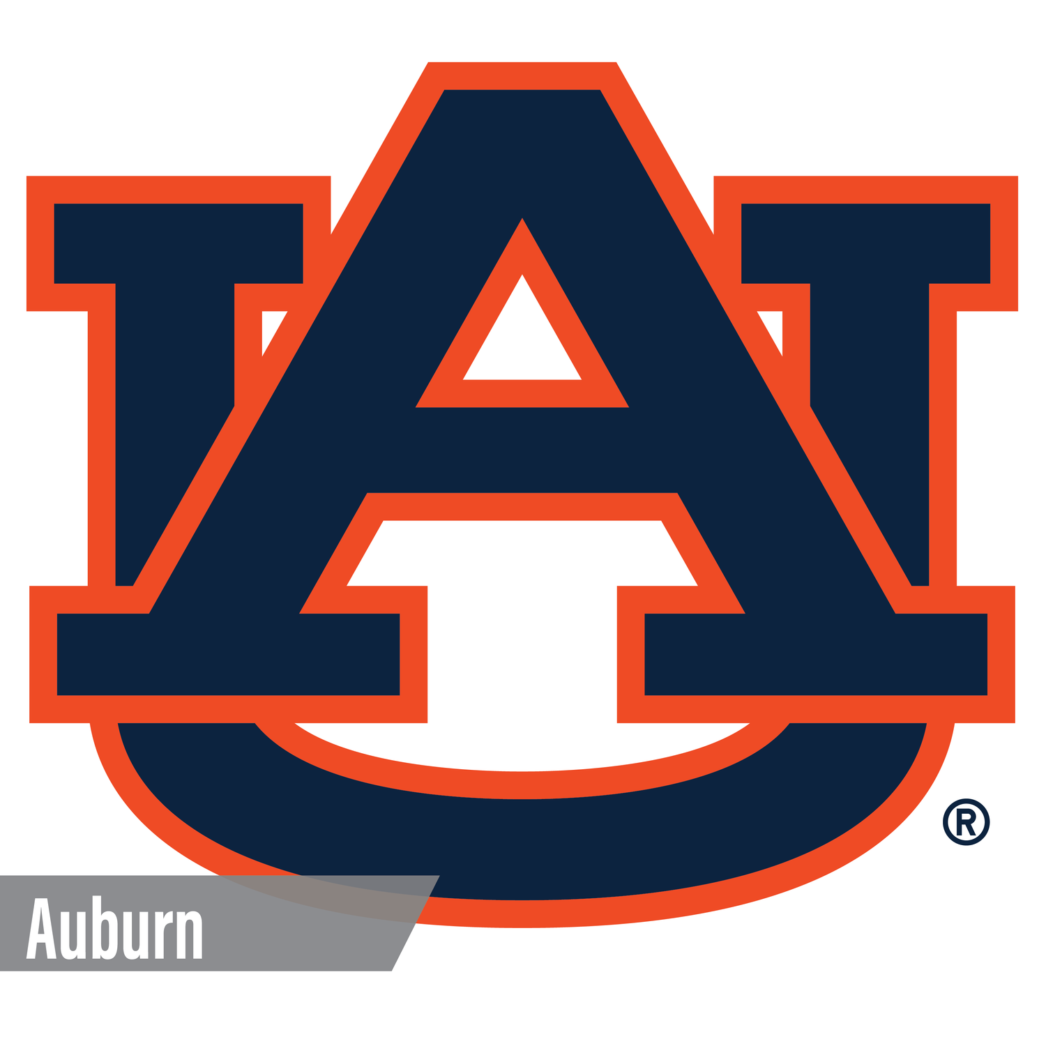 Auburn Tigers