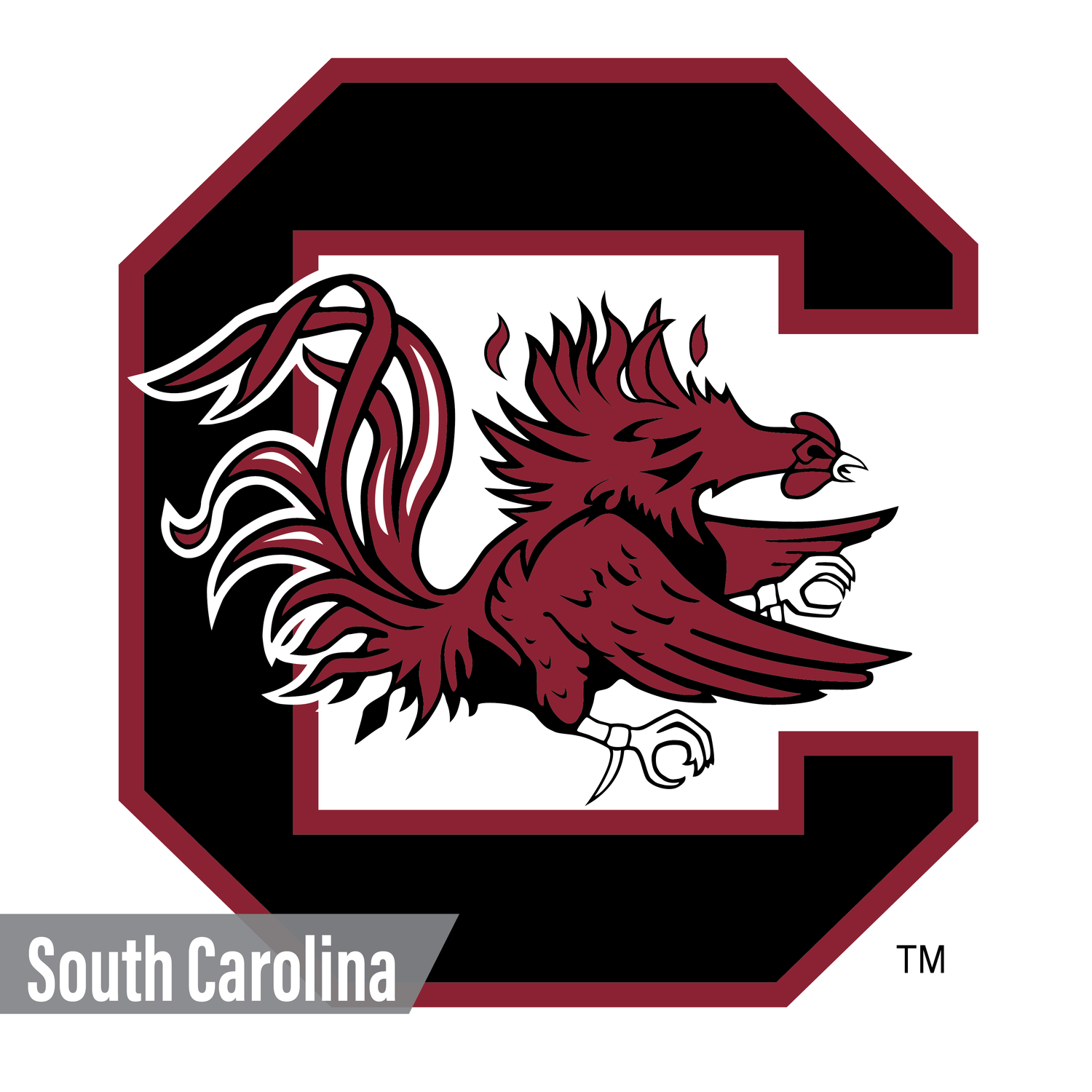 South Carolina Gamecocks