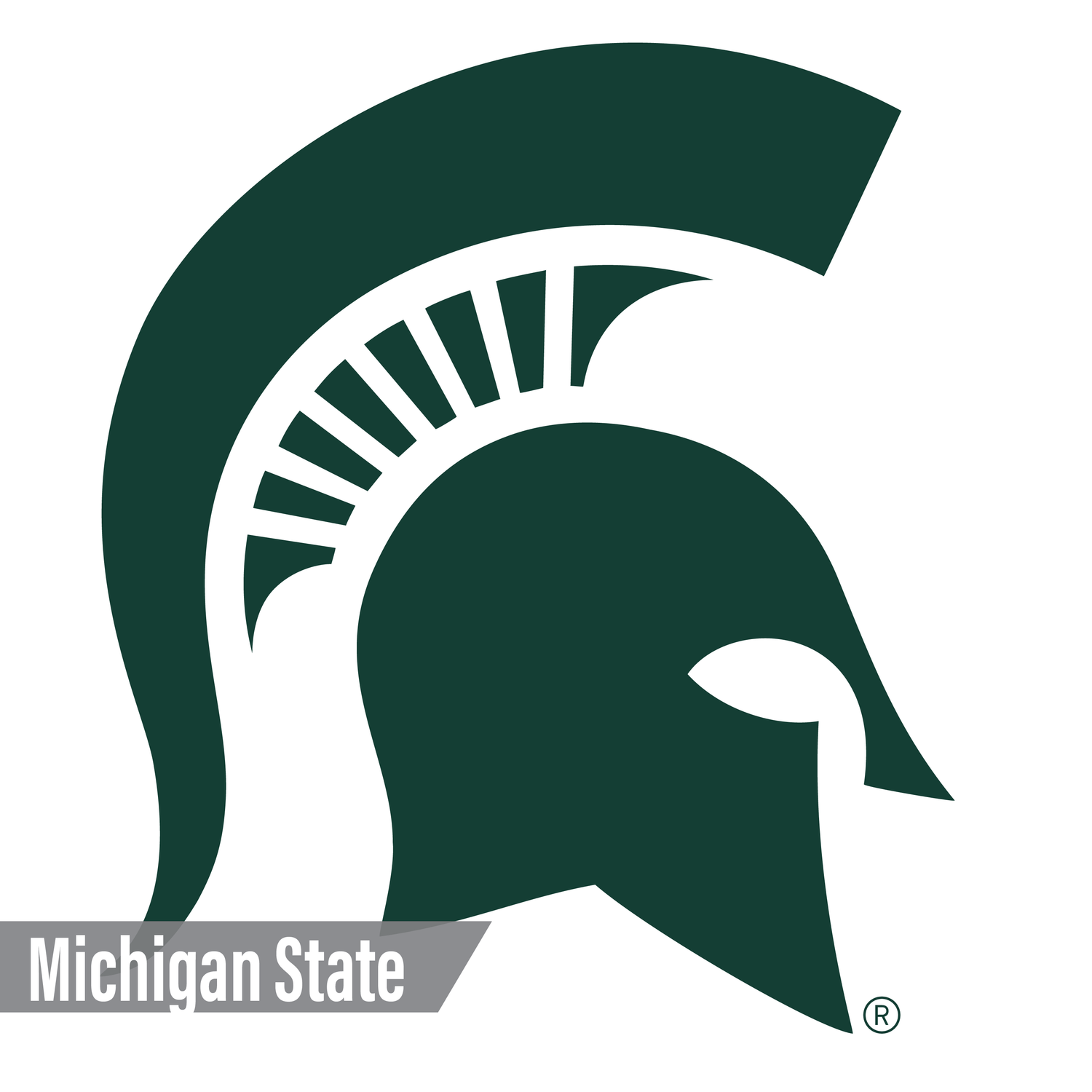 Michigan State Spartans