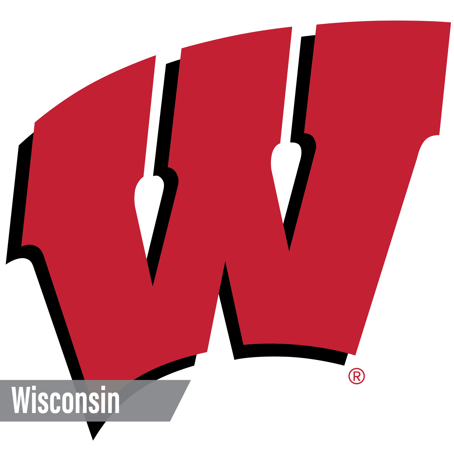Wisconsin Badgers