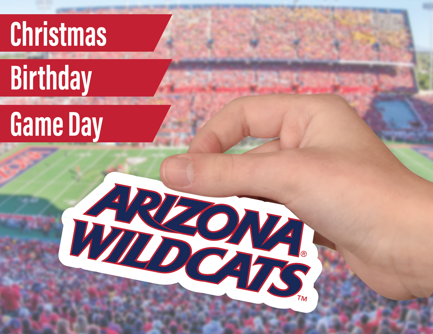 Arizona Wildcats Sticker Set (14 Pieces)