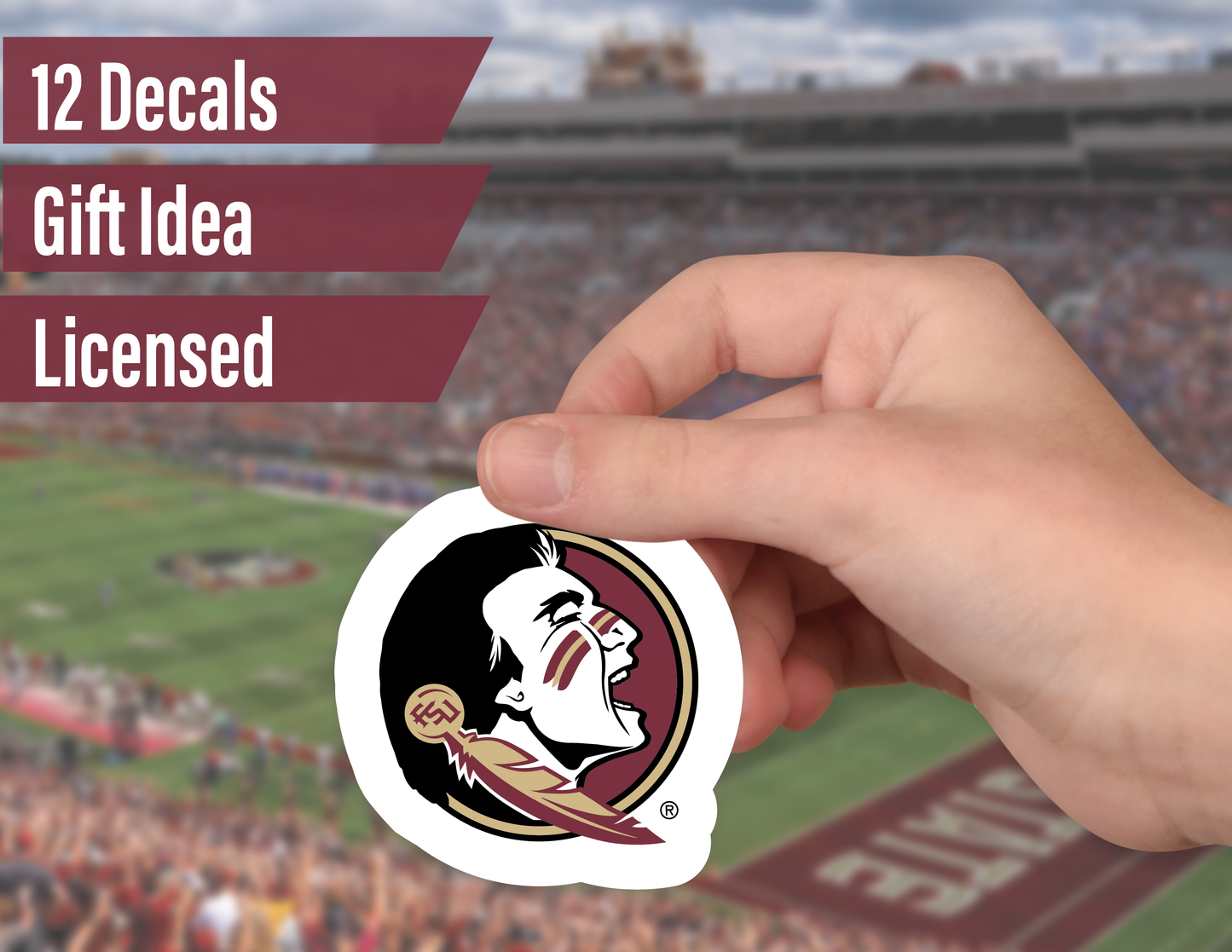 Florida State Seminoles Sticker Set (14 Pieces)