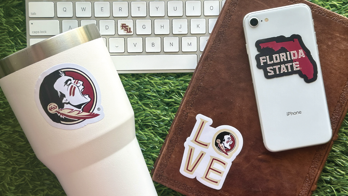 Florida State Seminoles Sticker Set (14 Pieces)