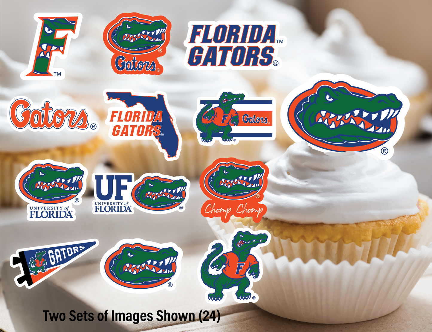 Florida Gators Party Decorations with Banner and Cupcake Toppers (42 Pieces)