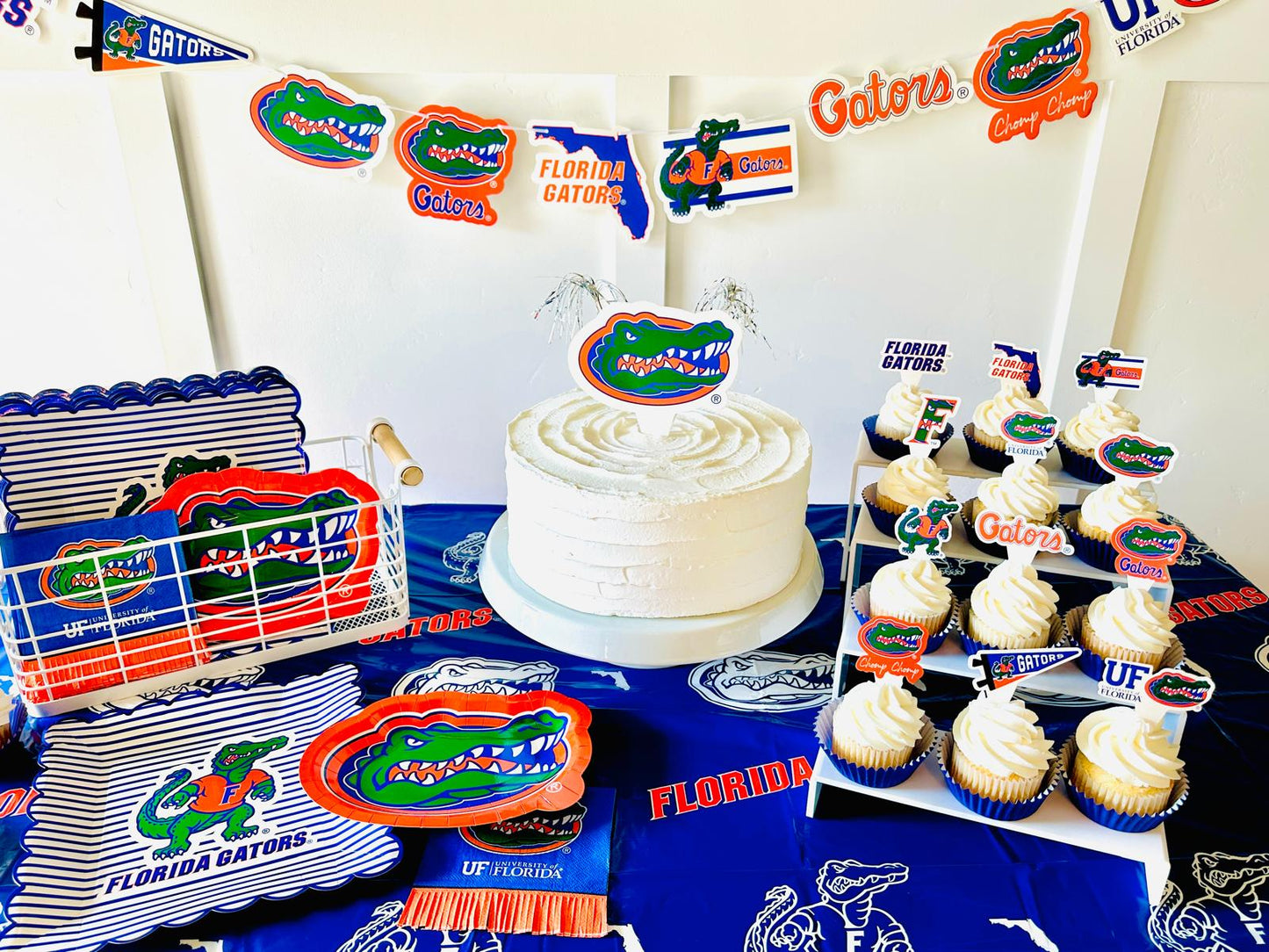 Florida Gators party supplies with UF tablecloth plates and napkins (37 piece set) for graduation, football tailgating, and birthday party decorations (Serves 12) (Florida Gators)