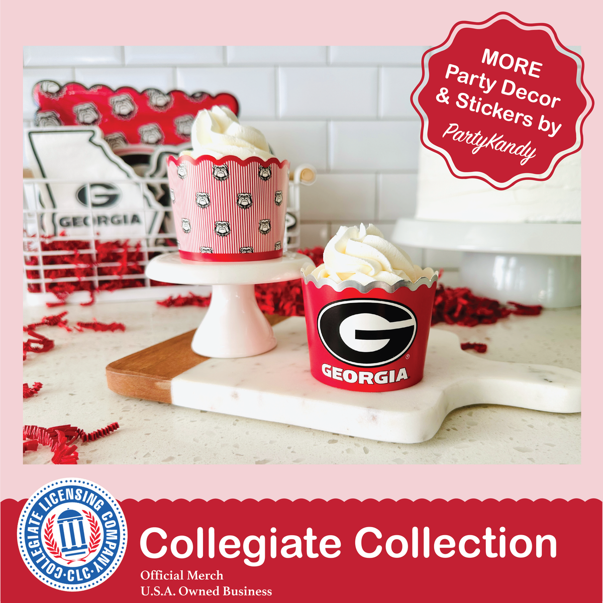 Georgia Bulldogs Paper Fan Backdrop UGA Birthday Graduation Party Decor 6Pc