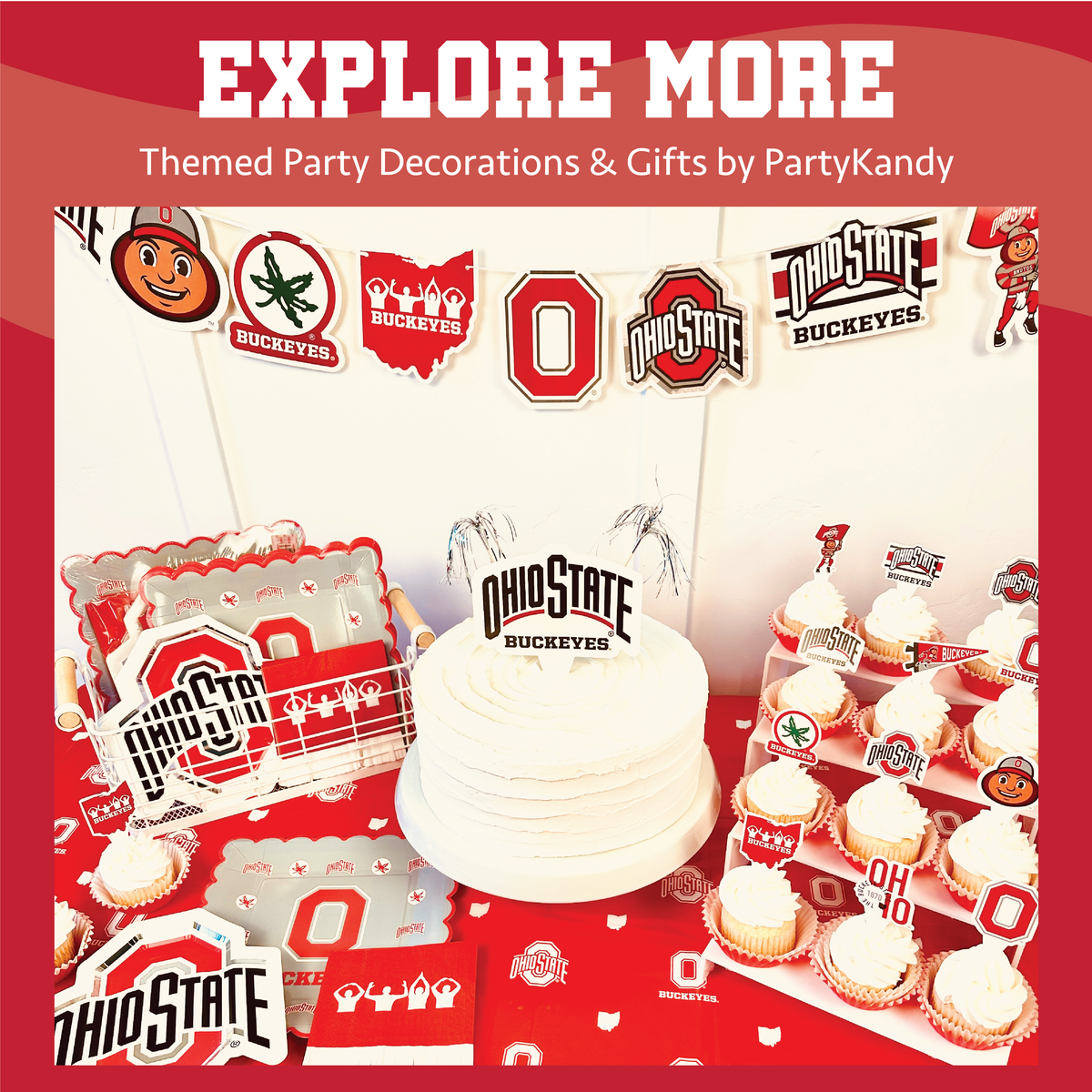 Ohio State Buckeye 6 Paper Fan OSU Backdrop Birthday Grad Party Decor