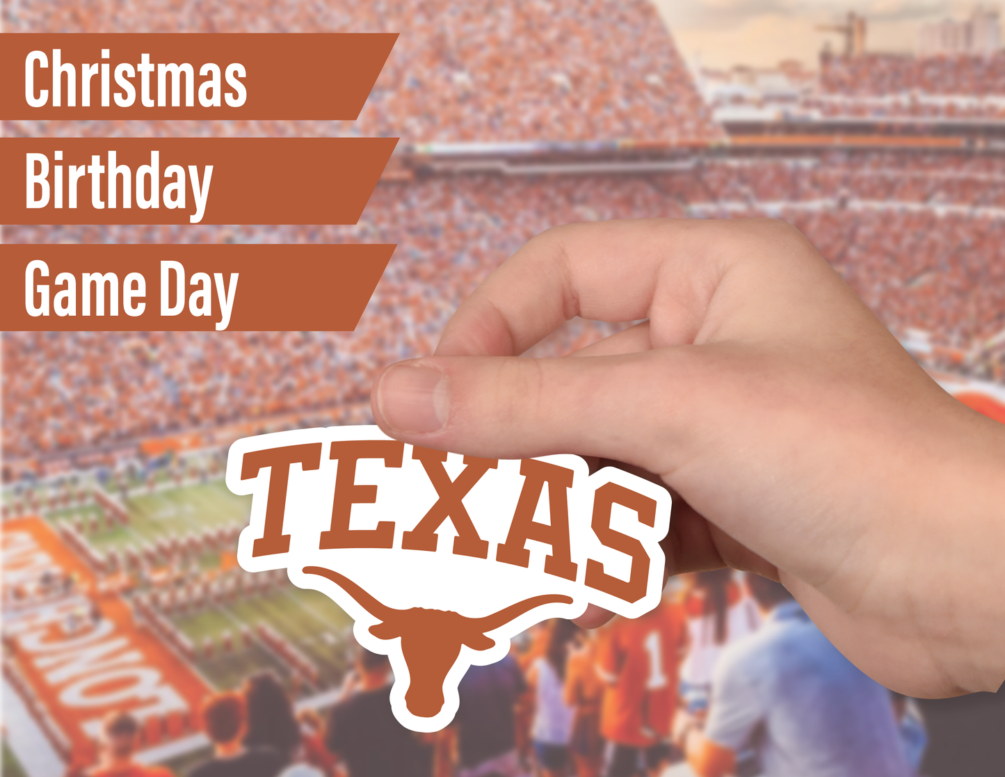 Texas Longhorns Sticker Set (14 Pieces)