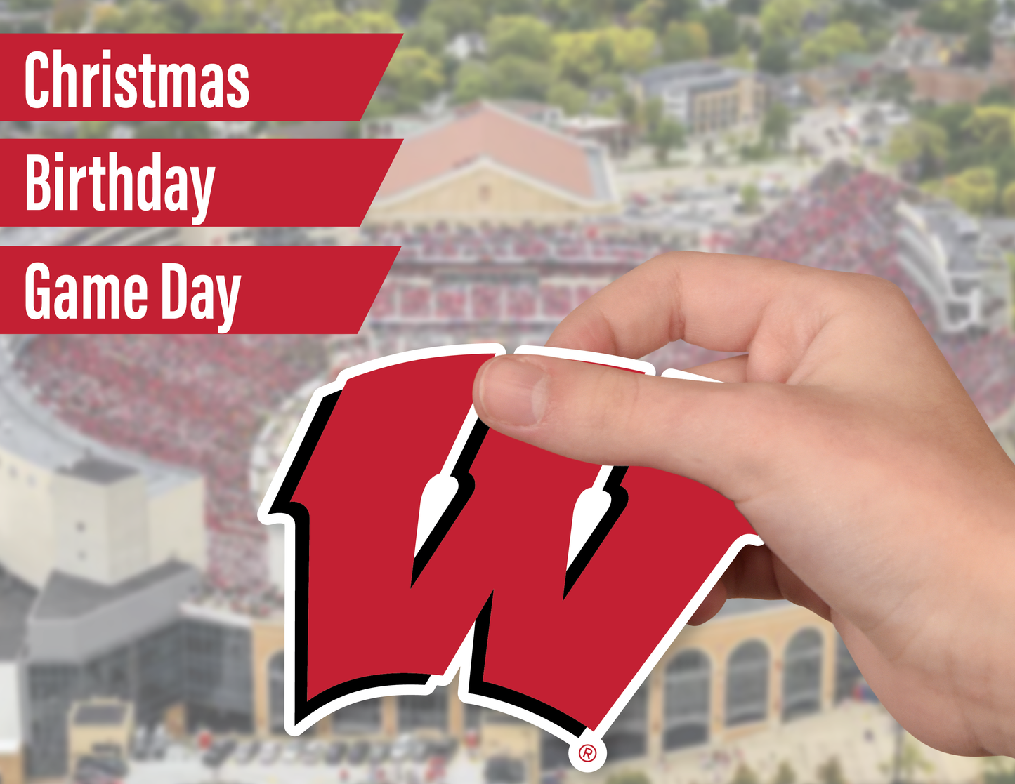 Wisconsin Badgers Sticker Set (14 Pieces)