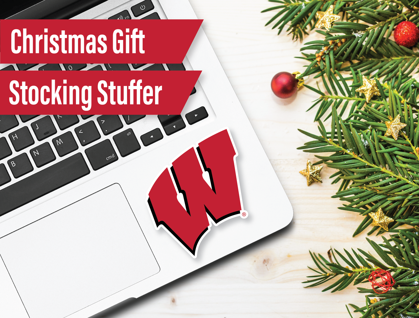 Wisconsin Badgers Sticker Set (14 Pieces)